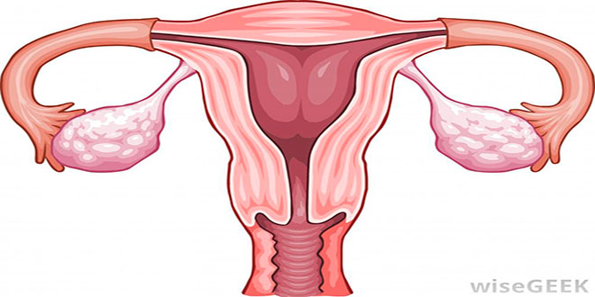 زنان پره‌منوپوز-سرطان پستان