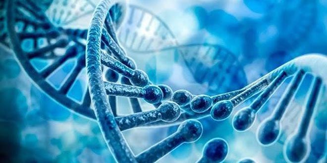 خطر سرقت ژنتیکی با ارسال نمونه‌های آزمایشگاهی به خارج از کشور/ عدم شفافیت وزارت بهداشت در نوع آزمایش‌های ارسالی