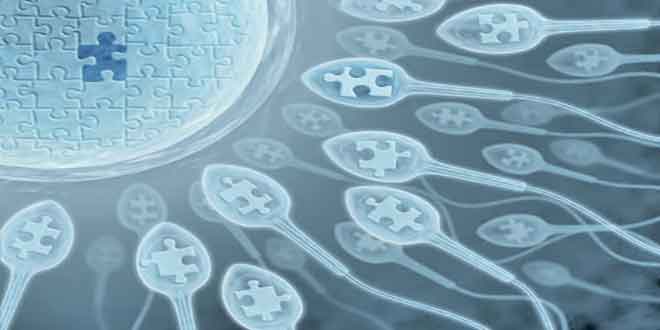 Photo of لقاح طبیعی ابزار جدید IVF