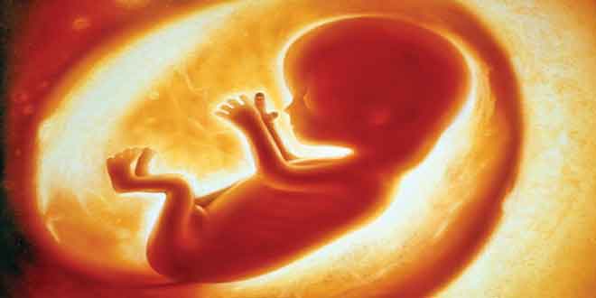 عکس از بارداری هفته ششم پیش‌بینی بروز پره‌اکلامپسی