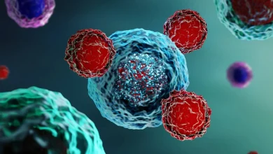 Photo of اثرگذاری قوی نیولوماب–ایپیلیموماب در سرطانهای dMMR/MSI-H